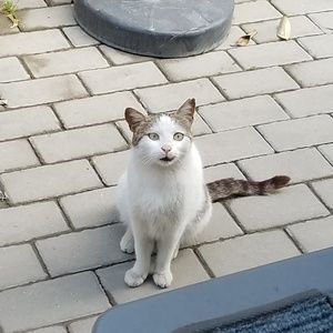 Meet your Posher, Winnie